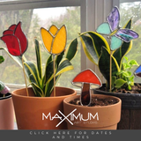 Beginner Stained Glass Workshop 3/28 11a-2p